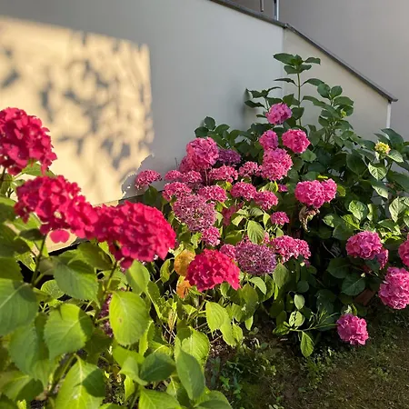 La Terrazza Al Casa vacanze